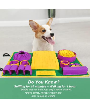 Interactive Sniffing Mat for Dogs - Boost Mental Stimulation & Slow Feeding - Yellow Purple Green - Buy Online on GoSupps.com
