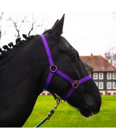 Horse Halter with Rope | Premium Knitting Halters for Shetty Pony Thoroughbred | X-Full Full Sizes | Purple Lila Shetty - Buy Online on GoSupps.com