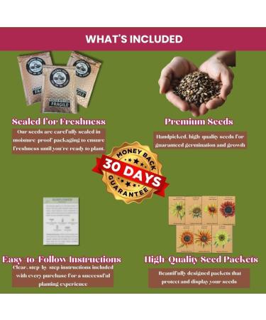 Miracle Jewelweed Salve | Natural Relief for Poison Ivy Oak Sumac & Insect Bites | Fast-Acting Itch Soother | Ideal for Outdoor Lovers | 1 oz - Buy Online on GoSupps.com