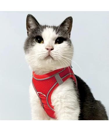 Joyal Reflective Soft Padded Dog Harness | Air-Mesh Breathable Chest Harness for Small Dogs & Cats | XXS Red (31-34cm) - Buy Online on GoSupps.com