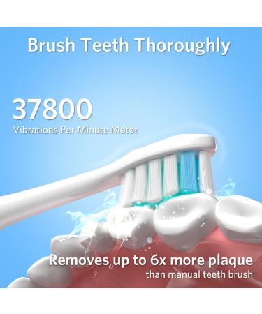 BESTEK Electric Toothbrush - Powerful Rechargeable Toothbrush with Multiple Modes Smart Timer & 6 Replacement Brush Heads - International Shipping Available - Buy Online on GoSupps.com