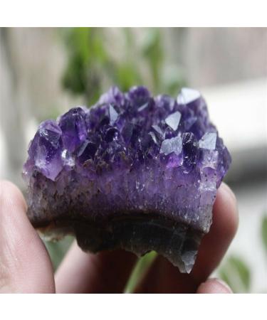 Natural Mini Amethyst Raw Crystal Cluster ERBDRGAZ (Size : 100-150) - Buy Online on GoSupps.com