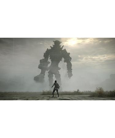 Buy Noname Shadow of the Colossus - International Shipping Available | Best Price & Fast Delivery - Buy Online on GoSupps.com