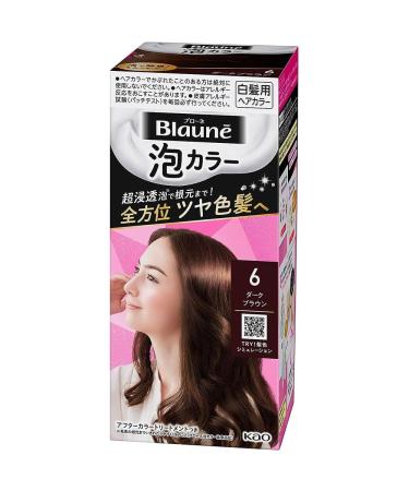 Kao Blaune Bubble Hair Color For Gray Hair - 6 Dark Brown (Green Tea Set)
