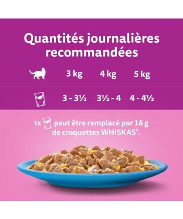 WHISKAS Cat Meals - 48 Fresh Sachets (Pack of 2 Packs 24x85g) - Favorite Fish (4 varieties) - Cat Pate - Buy Online on GoSupps.com