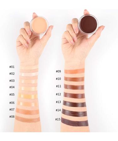 Long Lasting Concealer for Dark Circles 15 Colors Evens Skin Tone Covers Dark Circles and Brightens Skin Tone Makeup White Foundation (A One Size) - Buy Online on GoSupps.com