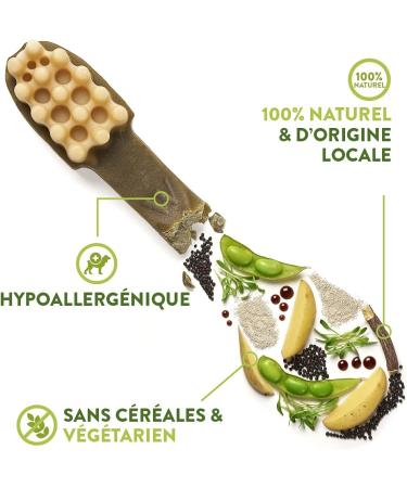 Whimzees by Wellness Crocodile - Grain-Free Dental Care Snacks for Large Dogs | 6 Pack (2 Bags) - Natural Couch Sticks - Buy Online on GoSupps.com
