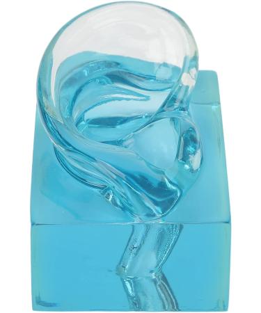 Professional Piercings Practice Ear Model - Waterproof Acrylic Blue Transparent Display for Sound Aids & Teaching Tools | International Shipping Available - Buy Online on GoSupps.com