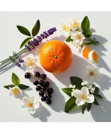 DIVAIN-602 - Inspired by Libre - Perfume Impression for Woman - Oriental Fragrance - Buy Online on GoSupps.com