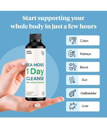 Atlantic Naturals Sea Moss 1 Day Cleanse - Full Body Detox for Kidney, Liver, Gut Health & Immune Support - Buy Online on GoSupps.com