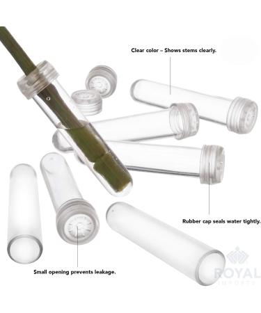 Royal Imports Floral Water Tubes/Vials for Flower Arrangements - Clear, 3.5 Opening - 25 Pack with Caps - Buy Online on GoSupps.com