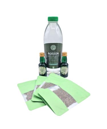 CFN - Natural Slimming Drink Sugar Free Mint – Weight Loss, Fat Burner and Effective Appetite Suppressant – Flat Stomach, Anti-Cellulite, Improving Digestion – French Brand - 15 Days