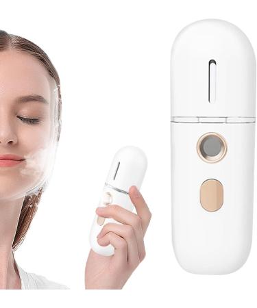 Humiidificateur Main - Brumeur Nano Compact | Diffuseur Visage Silencieux Frais Humidificateur Beaut pour Maquillage Quotidien Soin de la Peau la Maison Blanc - Buy Online on GoSupps.com