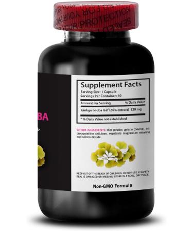 Ginkgo biloba antioxidant Properties - Ginkgo BILOBA Extract - Natural Extract antioxidant Ginkgo biloba Supplement Benefits Herbal Leaf Extract Plant-Based antioxidant Supplement 1 Bottle 60 Caps - Buy Online on GoSupps.com
