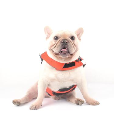 Hofrenchies Dog Chest Hair Hoi Schwimmewest - Pet Safety Bathing Suit Lifeguard Vest for French Bulldog (Size M Clownfish) - Shop Now! - Buy Online on GoSupps.com