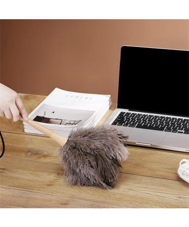 Dusting Duster Household Non-linting Dusting Zen Piano Dust Sweeping Duster 40cm Multi-colored - Buy Online on GoSupps.com