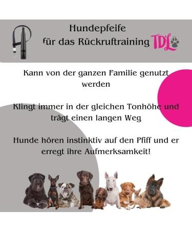 Sky Blue Whistle for Hunting Dogs Long Distance Recall & Training With Lanyard | International Shipping - Buy Online on GoSupps.com