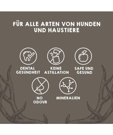 Maikai Hirschweih Natural Chewing Bones for Dogs - Size M 2-Pack - Durable Dog Toys for Medium Dogs Up to 20kg - Buy Online on GoSupps.com