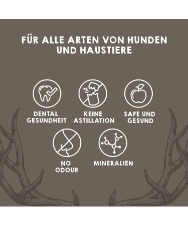 Maikai Hirschweih Dog Chewing Bones - Size L 2-Pack | Natural & Durable Dog Toys for Medium Dogs Up to 30 kg - Buy Online on GoSupps.com