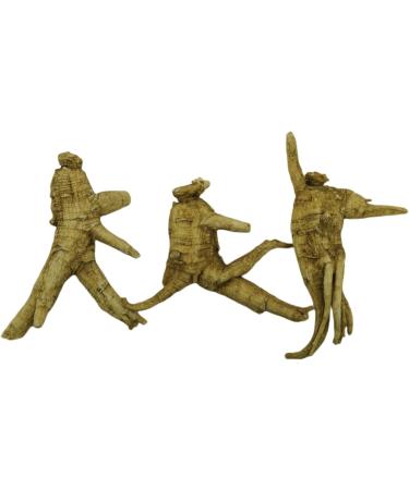Vigorwell Premium 4-Year Jumbo American Ginseng (1LB/454G/16OZ X 3 Bags)-Value Pack Save 15% - Buy Online on GoSupps.com