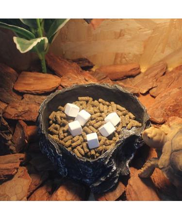 FRCOLOR 24 Pcs Turtle Teeth Supplements for Shrimp Mineral Bead Turtle Tank Mineral Calcium Care - Buy Online on GoSupps.com