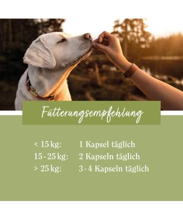 New Zealand Green Lipped Mussel Capsules for Dogs - Buy Online on GoSupps.com