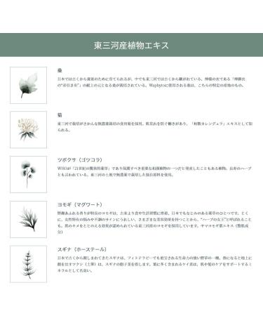 Waphyto Hand Cream Balance 40g - Buy Online on GoSupps.com