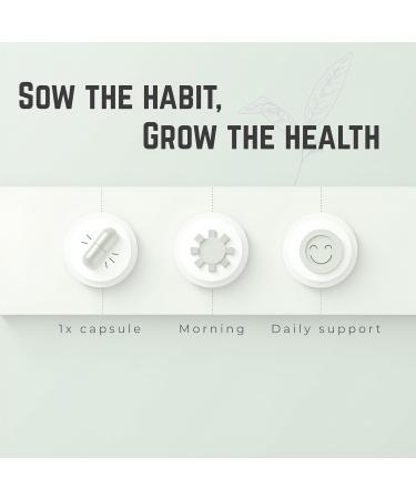 Sownandgrown Milk Thistle 250mg- 60 Capsules | Silymarin Extract | with Glutathione, Zinc & Choline | Liver Cleanse Detox & Repair | Gentle Daily Liver Support Supplement - Buy Online on GoSupps.com