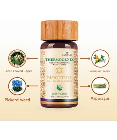 Arthrosolve Supplement - 100% Vegan Joint Health Support with Guggul Dashmool Zingiber & Boswellia - 80 Capsules for Men & Women - International Shipping Available - Buy Online on GoSupps.com