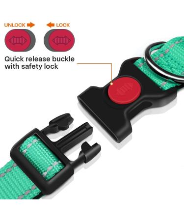 Taglory Soft Padded Neoprene Dog Collar for Puppies Adjustable Reflective & Comfortable Turquoise XS (1 Pack) Perfect for Training & International Shipping - Buy Online on GoSupps.com