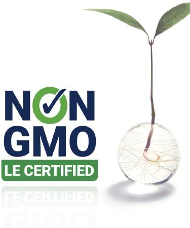 Life Extension Keto Brain and Body Boost - Peach Flavor 14.1 oz (400g) | Enhance Focus & Energy - Buy Online on GoSupps.com