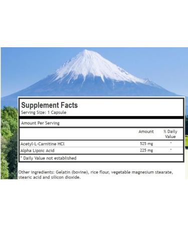 Alpha Lipoic Acid with Acetyl L Carnitine - ALA ALC Anti Aging Health & Wellness Formula to Support Nerve Health Tingling Feet Hands Limbs 60 Vitamin Complex Capsules - Buy Online on GoSupps.com