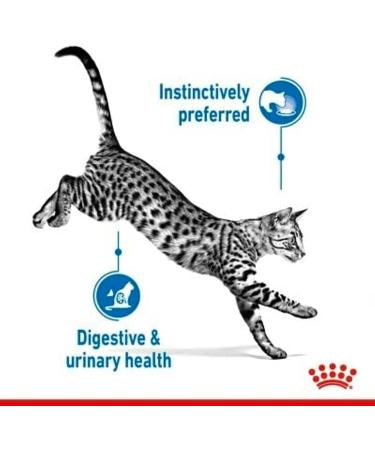 Royal Canin Indoor Sterilised in Soet | Double Pack | 2 x 12 x 85 g | Complete Food for Adult Cats Living Indoors - Buy Online on GoSupps.com