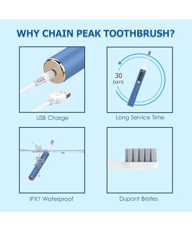 Sonic Electric Toothbrush for Adults - Rechargeable with LED Indicator, 2 Mins Timer, 5 Modes, 4 Brush Heads - Blue - Ideal for Men, Women, Couples - Wall-Mount Holder Included - Buy Online on GoSupps.com