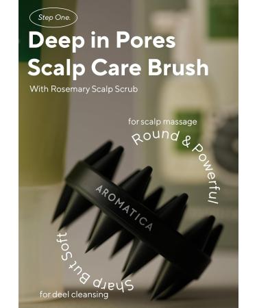 Buy AROMATICA Rosemary Scalp Care Gift Set Hydrating Treatment Scrub & Brush Sulfate Silicone & Paraben-Free International Shipping Available - Buy Online on GoSupps.com
