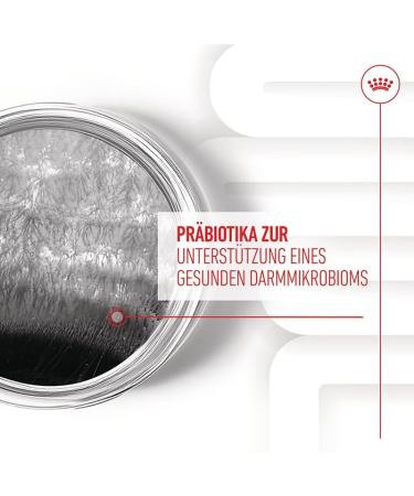 ROYAL CANIN Digestion Chews Adult Supplements Double Pack 2 x 160 g Supplementary Feed for Adult Dogs to Support Normal Digestion and Intestinal Flora - Buy Online on GoSupps.com