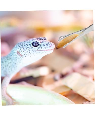 CORHAD Reptile Feeding Clip Reptile Tongs Feeding Reptile Tools Stainless Steel Silver - Buy Online on GoSupps.com