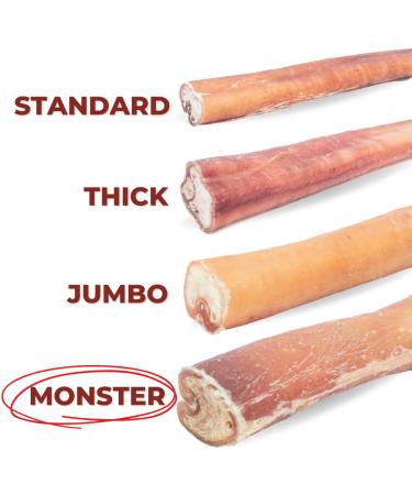 Bully Bunches Premium 6 Inch Monster Odour-Free Bully Sticks for Medium & Large Dogs - Long Lasting Chew Bones - All Natural & Single Ingredient 100% Beef Dog Treat Rawhide Alternative (8 Pk) 6 Inch 8 Pack - Buy Online on GoSupps.com