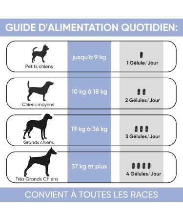 Urinary Aid for Dogs Relief from Urinary Discomfort Synergy with Cranberry Astragalus Root D-Mannose & Marshmallow Root 120 Capsules Dog Bladder Wellness Food Supplement - Buy Online on GoSupps.com