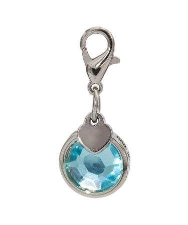 Soulhorse bridle trenser & lucky charm for the horse keychain lucky trailer horse pony charm trailer with artificial stone - Charm Lucky Stone - soul horse turquoise - Buy Online on GoSupps.com