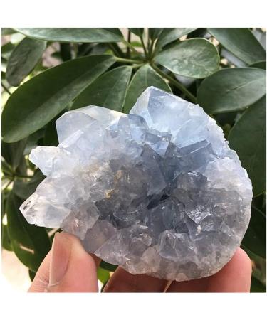 Balance Natural Blue Celestite Crystal Cluster Specimen for Decoration Lucky Stone Crystal Cluster (Size : 150-190g) - Buy Online on GoSupps.com