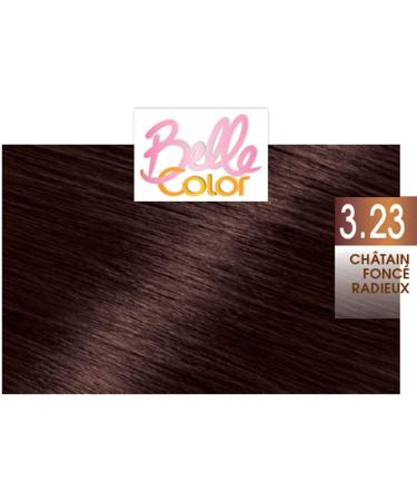 Garnier Belle Color Terre de Soleil 3.23 Permanent Hair Color Dark Brown - Pack of 2 - Buy Online on GoSupps.com