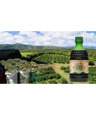 Apollo Organic Noni Juice by Morinda - Pure Noni Fruit Puree with Aloe Vera | All-Natural Daily Wellness Drink 30.5 fl oz - Buy Online on GoSupps.com