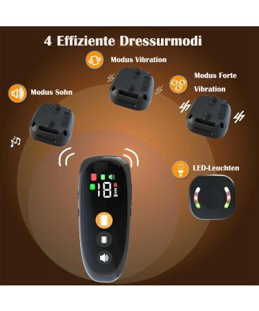 New Classic Dog Collars | Breathable Waterproof & Easy to Handle for All Dog Sizes | International Shipping Available - Buy Online on GoSupps.com