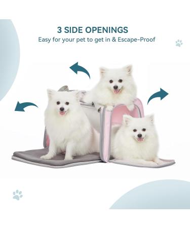 Petsfit Transport Box for Cats & Small Dogs - Foldable Dog Carrier Bag with Shoulder Strap & Expandable Bed - Portable Travel Bag in Pink - Large - Buy Online on GoSupps.com