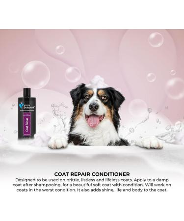 GROOM PROFESSIONAL Coat Repair Dog Conditioner - Repairing Conditioner for Dogs with Damaged Hair- Perfect for Dry and Itchy Skin - Softens Coat & Adds Condition 450ml 450 ml (Pack of 1) 450 ml - Buy Online on GoSupps.com