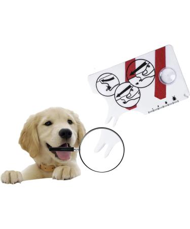 LC Life 2-Piece Tick Card Set with Magnifying Glass - Easily Remove Ticks from Pets & People - Buy Online on GoSupps.com