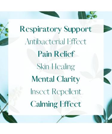 Selfpurity Eucalyptus Essential Oil 100% Pure and Natural Eucalyptus Oil Premium Essential Oils for Hair Care Home Diffusers Skin Aromatherapy Massage and Moisturizers 20 ml (0.68 fl oz) - Buy Online on GoSupps.com