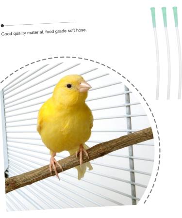 MipCase Parrot 9-Piece Milk Dispenser & Donor Feeding Device - Reusable Bird Feeder for Sick Animals - Ideal for Nymphensittich Supply - 0.7x14cm (3 PCS) - Buy Online on GoSupps.com