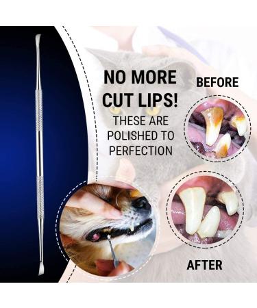Pet Teeth Cleaning Tool 6.5 Inch Stainless Steel Double Header Plaque Remover for Cats & Dogs - Rust-Resistant | By Majestic Bombay - Buy Online on GoSupps.com